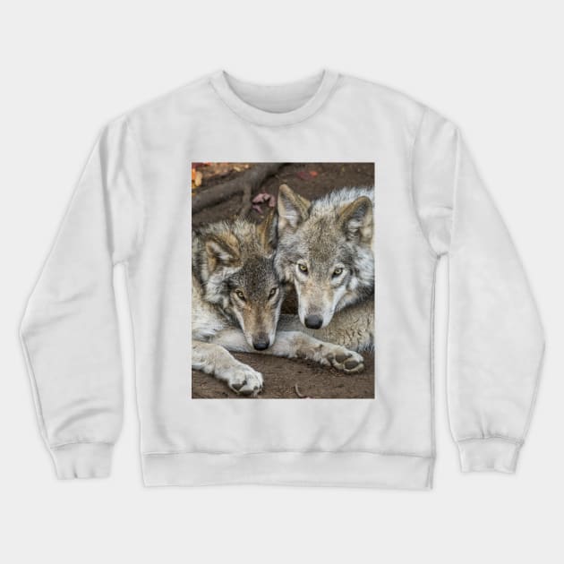 Timber Wolves Crewneck Sweatshirt by jaydee1400